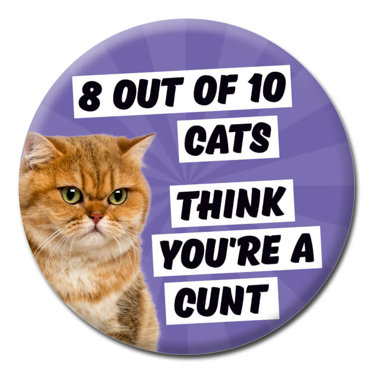 8 Out Of 10 Cats Badge