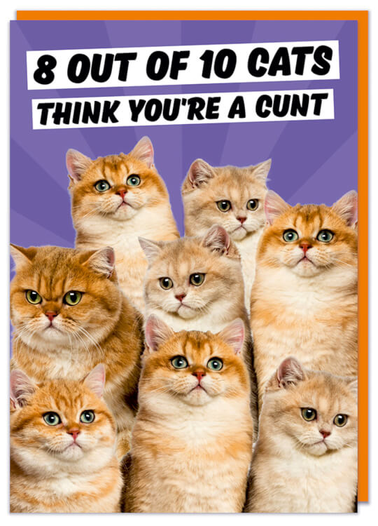 8 out of 10 Cats Card