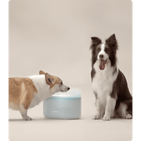 Petlibro Capsule Dog Fountain, Capsule · Petlibro UK Affiliate Program